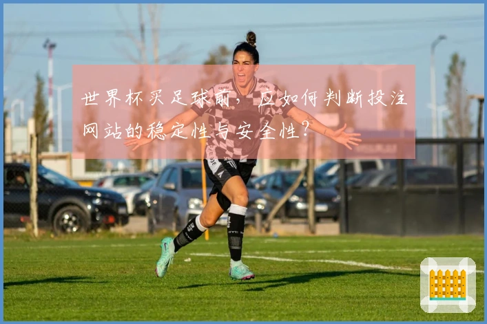 世界杯买足球前,应如何判断投注网站的稳定性与安全性?