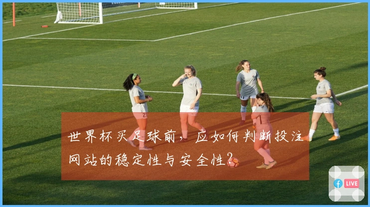 世界杯买足球前，应如何判断投注网站的稳定性与安全性？