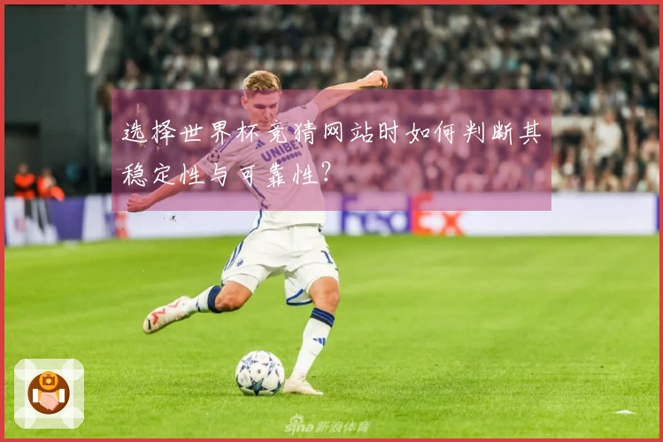 选择世界杯竞猜网站时如何判断其稳定性与可靠性？
